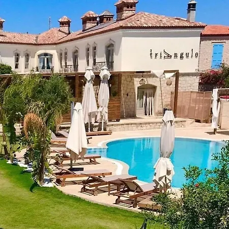 Отель Triangulo 2*