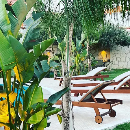 Triangulo 阿拉恰特