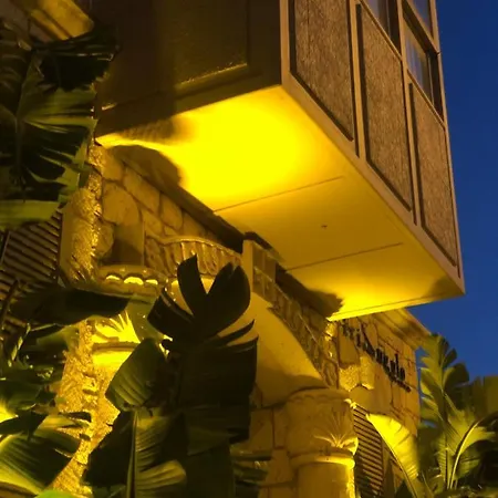 Triangulo 阿拉恰特