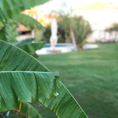 Triangulo 2* 阿拉恰特