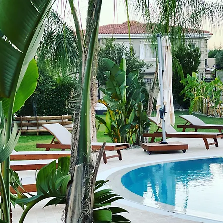 Triangulo 阿拉恰特