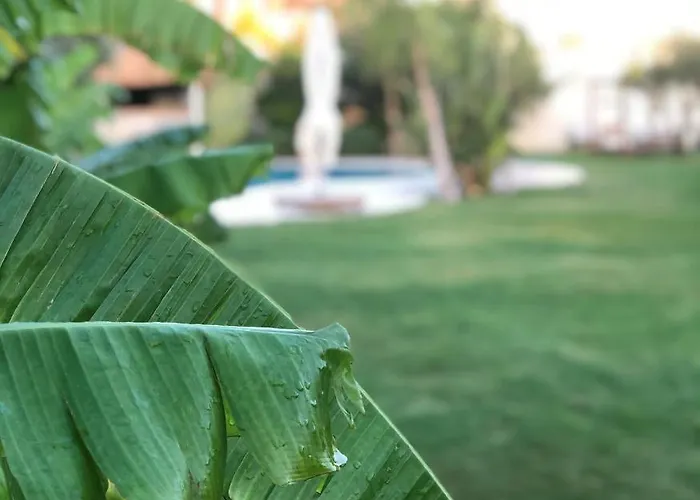 Triangulo 2* Alacati